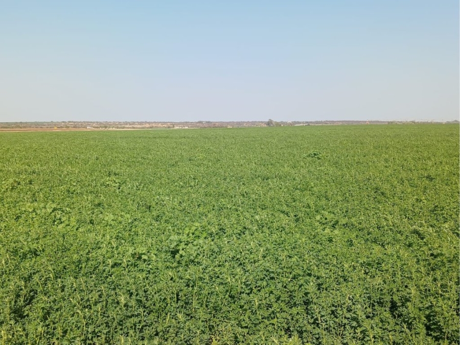 Commercial Property for Sale in Douglas Rural Northern Cape